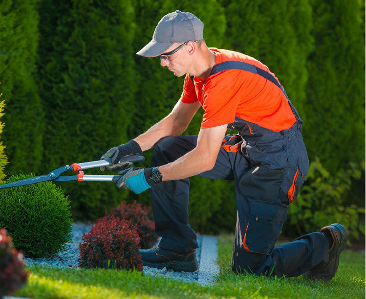 To Plant A Garden Is To Believe In Tomorrow