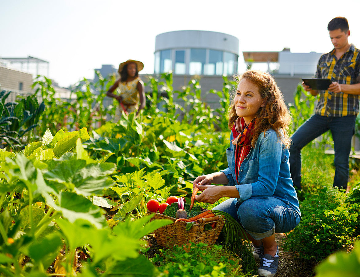 If You Have A Garden, You Are Blessed!