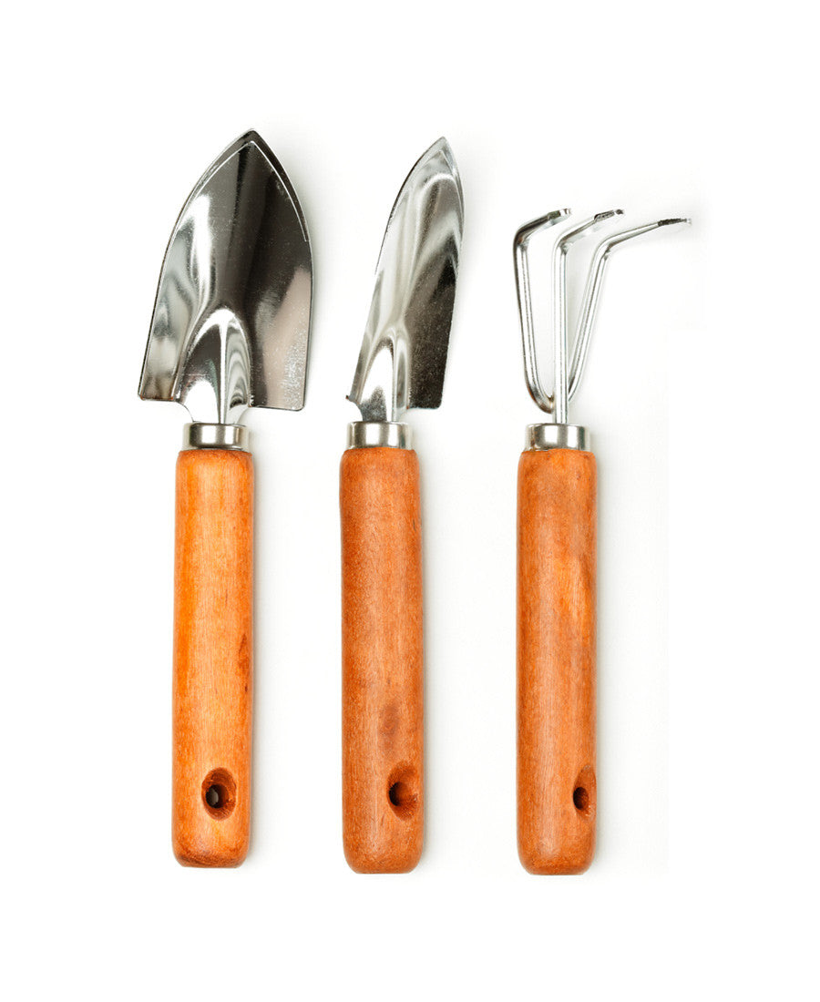 Eselar Tool Set of Trowel & Fork